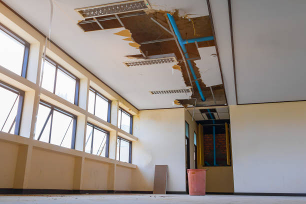 Water damage restoration mold remediation in NY