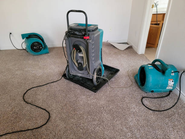 Best Local water damage restoration  in Westvale, NY