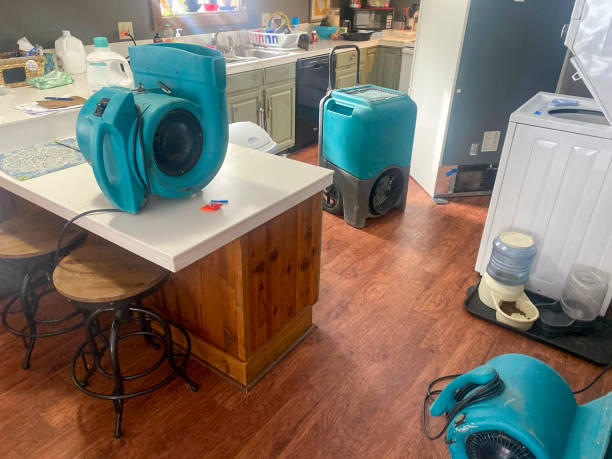 Best Sewage cleanup and water damage restoration  in Westvale, NY