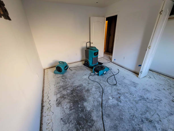 Best 24-hour water damage restoration  in Westvale, NY