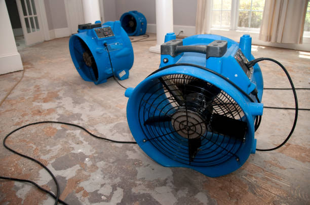 Water damage restoration process in NY