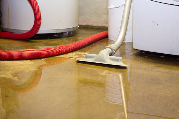 Best Water damage restoration near me  in Westvale, NY