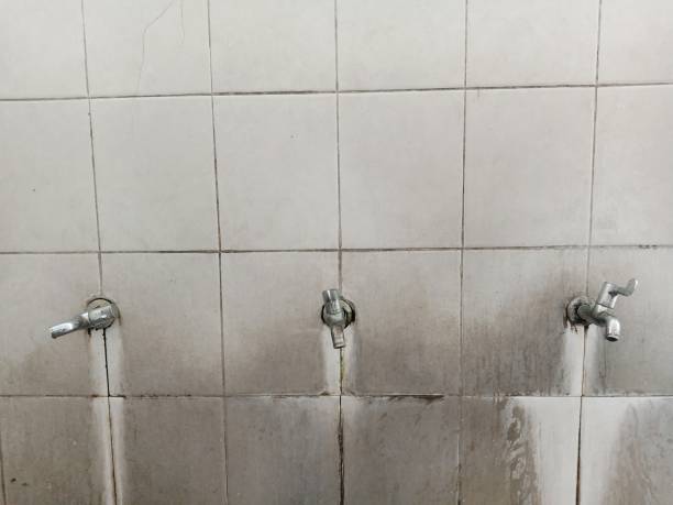 Best Flooded house restoration  in Westvale, NY