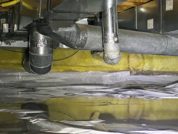 Best Flood restoration services  in Westvale, NY