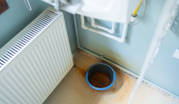 Best Water damage cleanup near me  in Westvale, NY