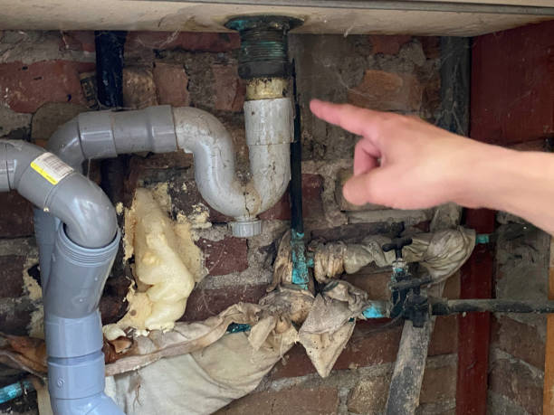  Westvale, NY Water damage restoration Pros